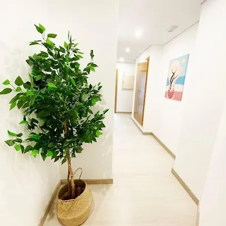 Novedad Avenida Puente Del Pilar Apartment *